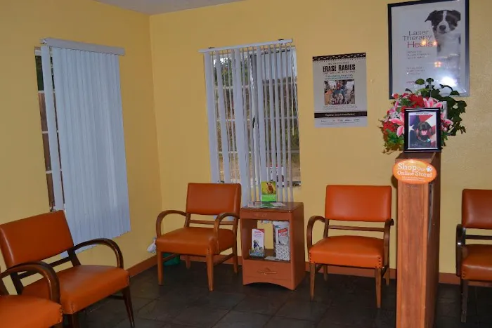 Springlake Animal Hospital 1