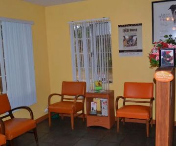 Springlake Animal Hospital