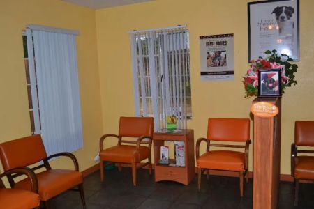 Springlake Animal Hospital