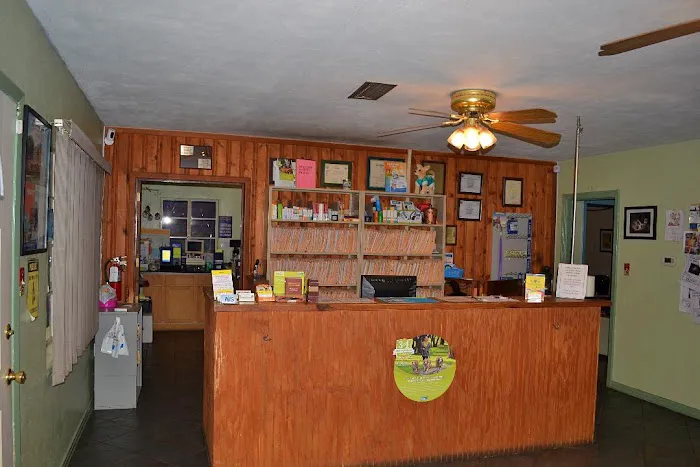 Springlake Animal Hospital 8