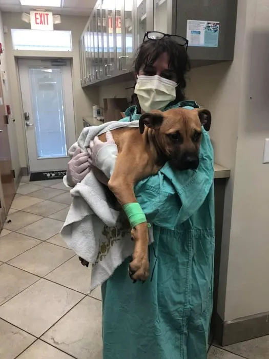 Lake Area Animal Hospital 2