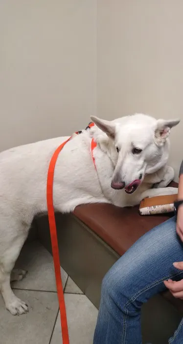 Lake Area Animal Hospital 3