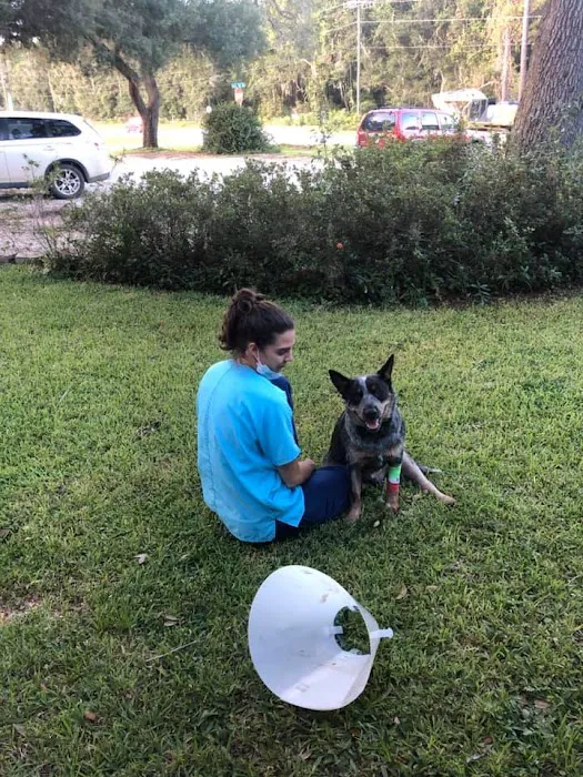 Lake Area Animal Hospital 5