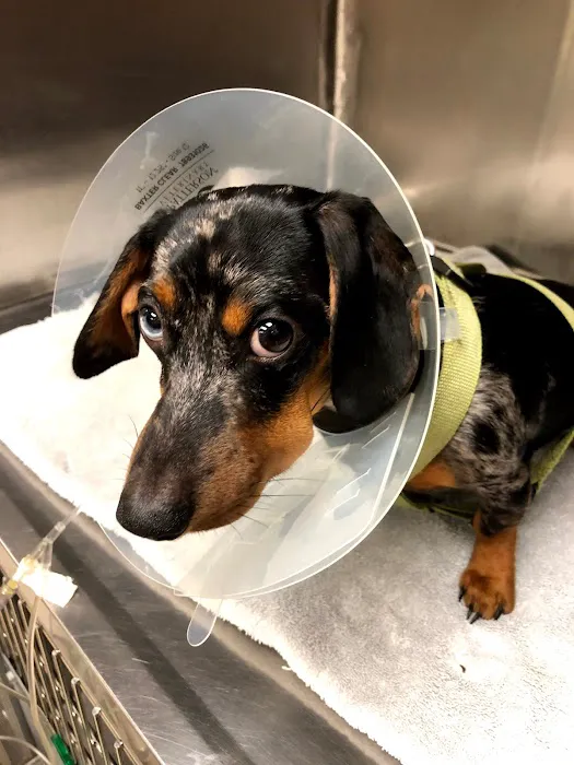Lake Area Animal Hospital 9
