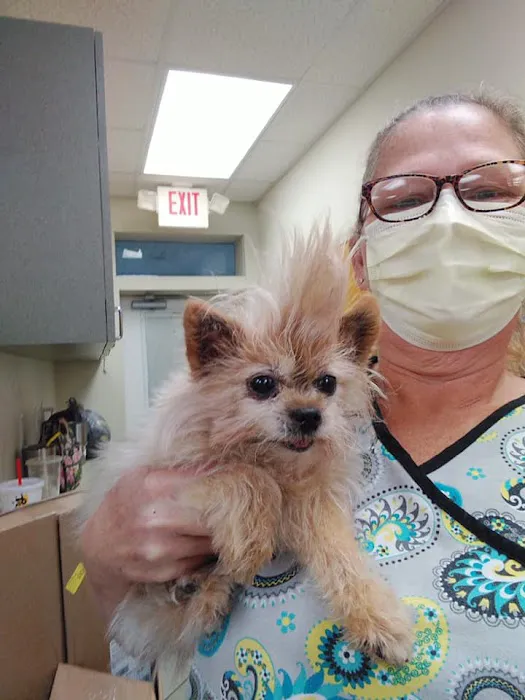 Lake Area Animal Hospital 8