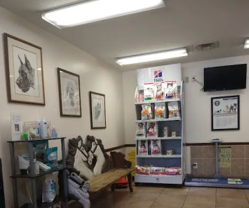 Shelton Veterinary Clinic