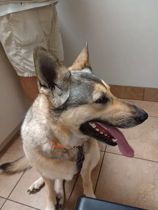 Shelton Veterinary Clinic 12
