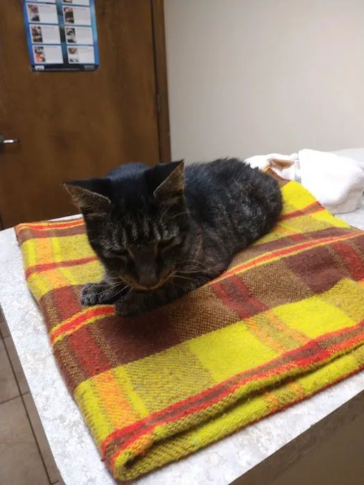 Shelton Veterinary Clinic 12