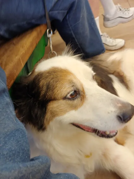 Shelton Veterinary Clinic 12