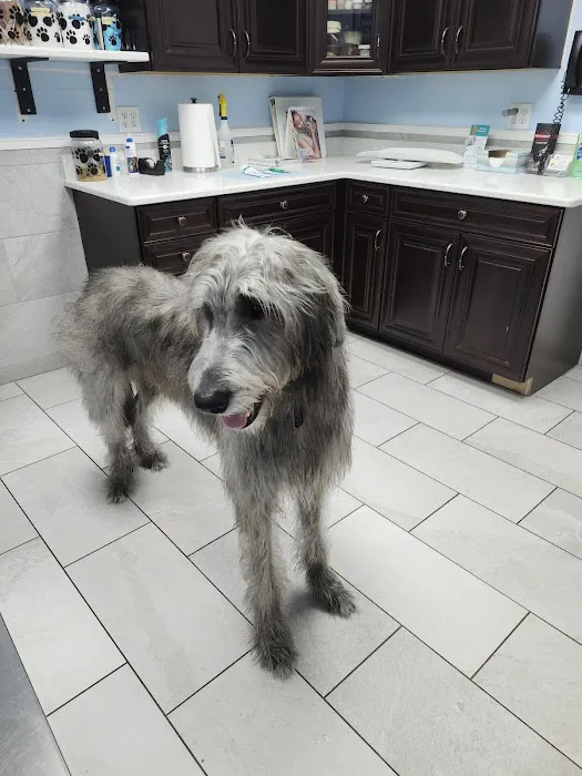 Vet-I-Care Animal Hospital 12