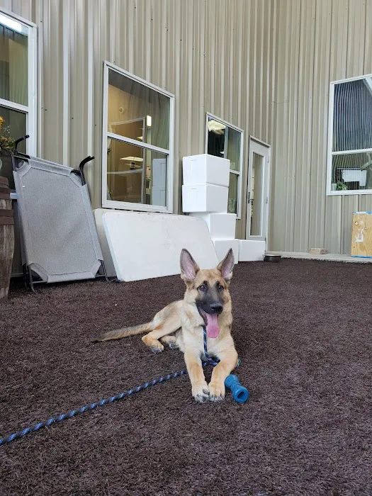 Black Creek Veterinary Hospital 12