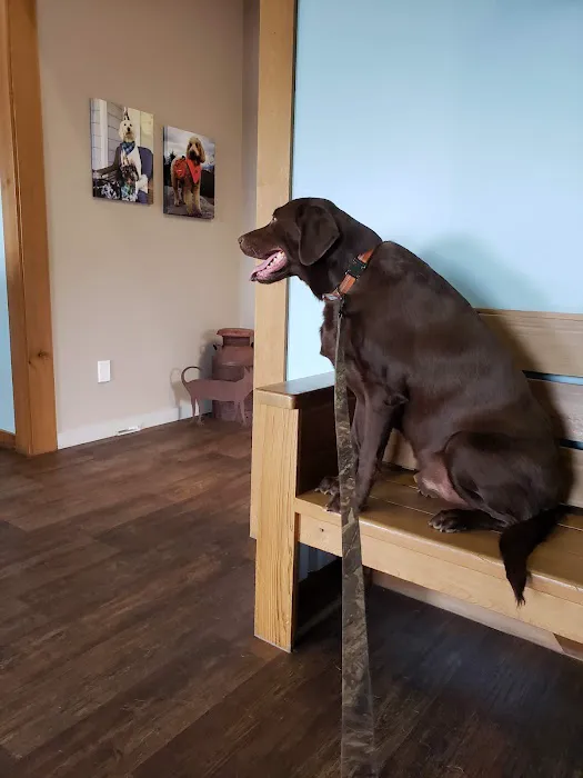Black Creek Veterinary Hospital 12
