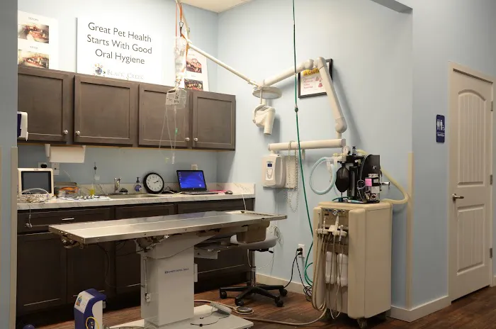 Black Creek Veterinary Hospital 12