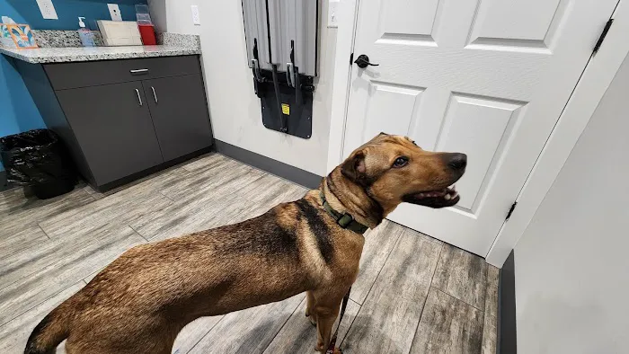 Starke Animal Hospital 5