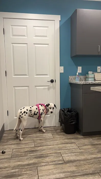 Starke Animal Hospital 1