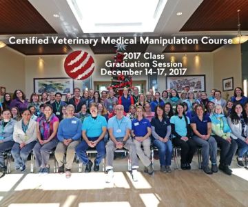 The Integrative Veterinary Medical Institute (IVMI)
