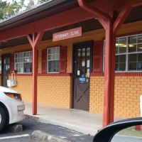 Forest Veterinary Clinic ico