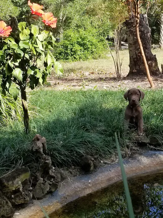 Forest Veterinary Clinic 2