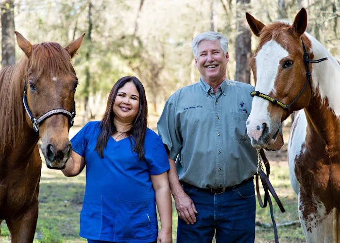 Shelton Veterinary Clinic 12