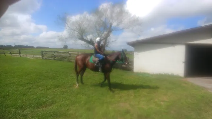 Ferguson & Associates Equine Hospital 2