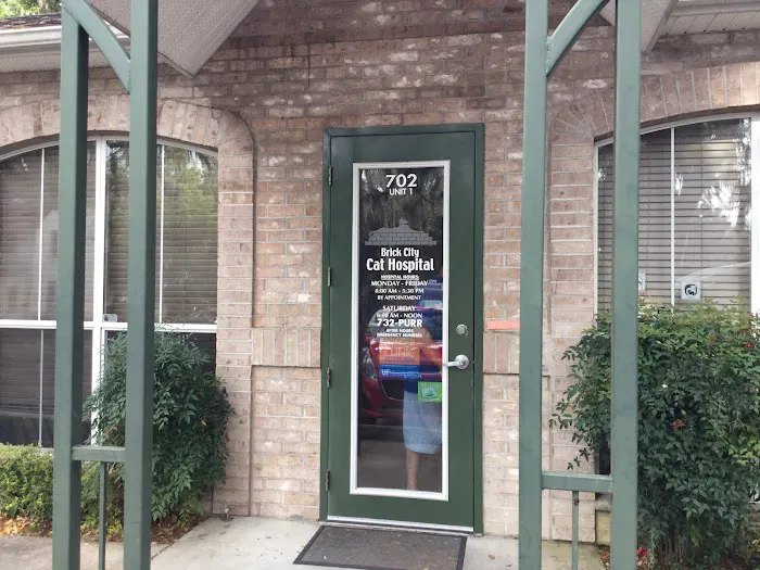 Brick City Cat Hospital 7