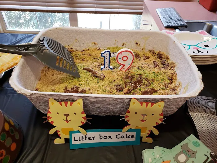 Brick City Cat Hospital 3