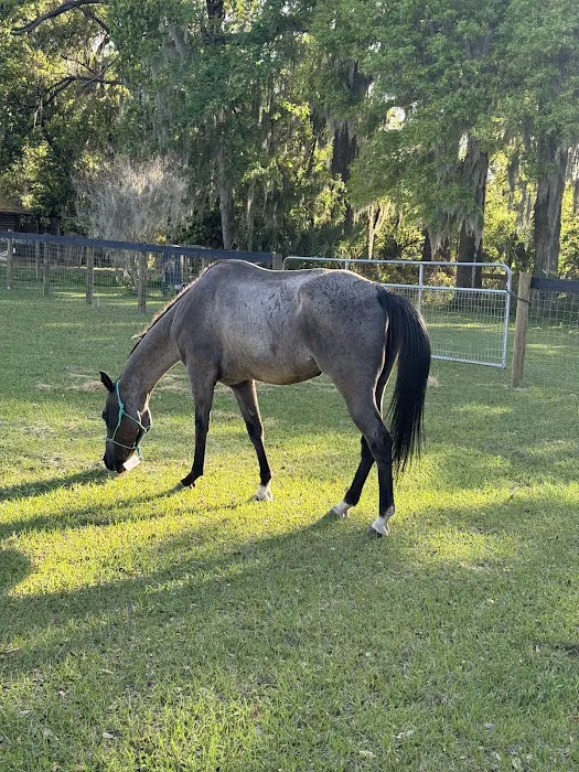 Equine Performance Innovative Center: EPIC 4