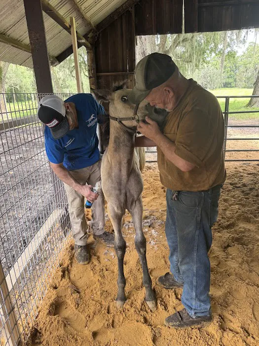 Equine Performance Innovative Center: EPIC 5