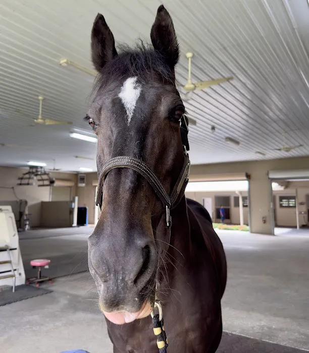 Equine Performance Innovative Center: EPIC 1