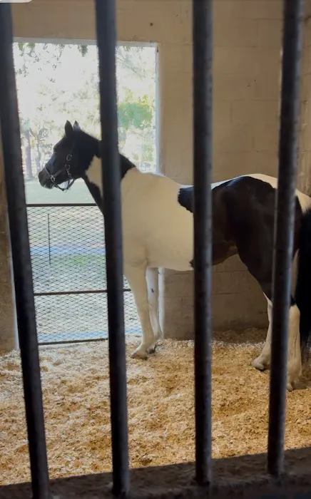 Equine Performance Innovative Center: EPIC 9