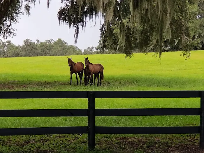Equine Performance Innovative Center: EPIC 6