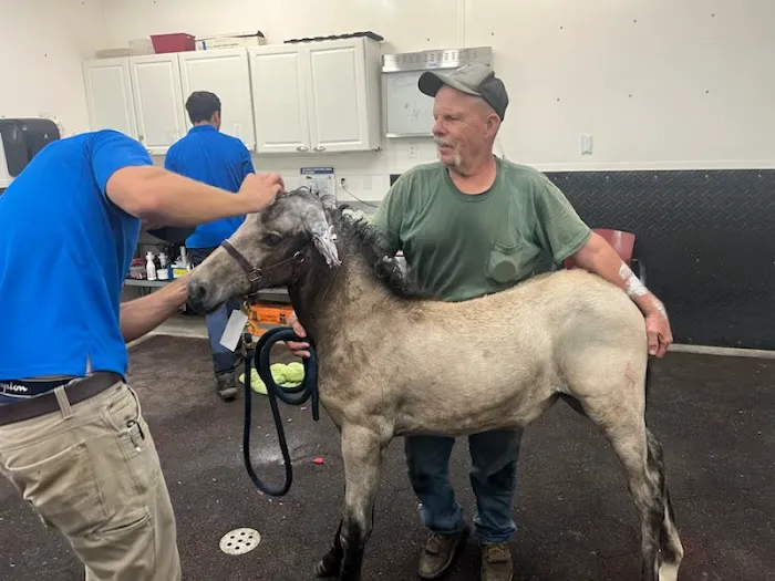 Equine Performance Innovative Center: EPIC 7
