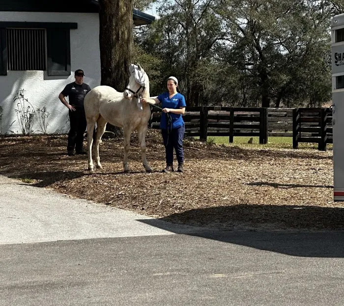 Peterson Smith Equine Hospital + Complete Care 8