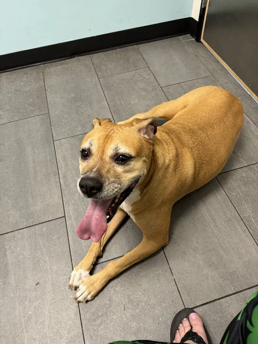 Banfield Pet Hospital 4