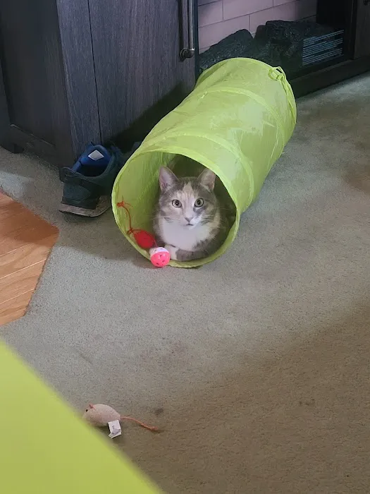 Banfield Pet Hospital 6