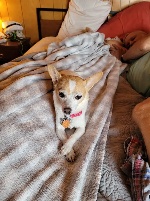 Banfield Pet Hospital 9