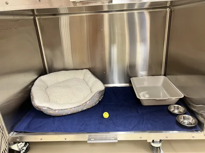 Care Pet Animal Hospital 12