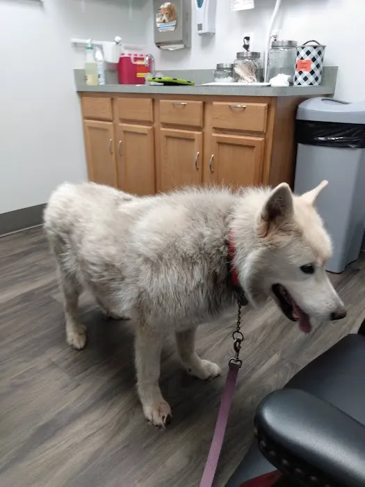 Claws and Paws Animal Clinic 9