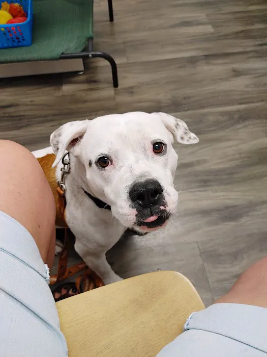 Claws and Paws Animal Clinic 7