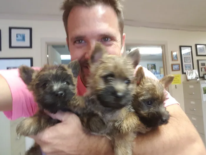 Starke Veterinary Clinic 12