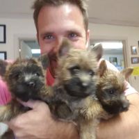 Starke Veterinary Clinic ico