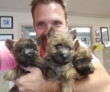 Starke Veterinary Clinic