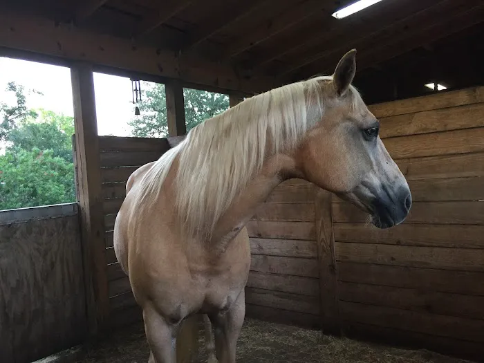 Starke Veterinary Clinic 12