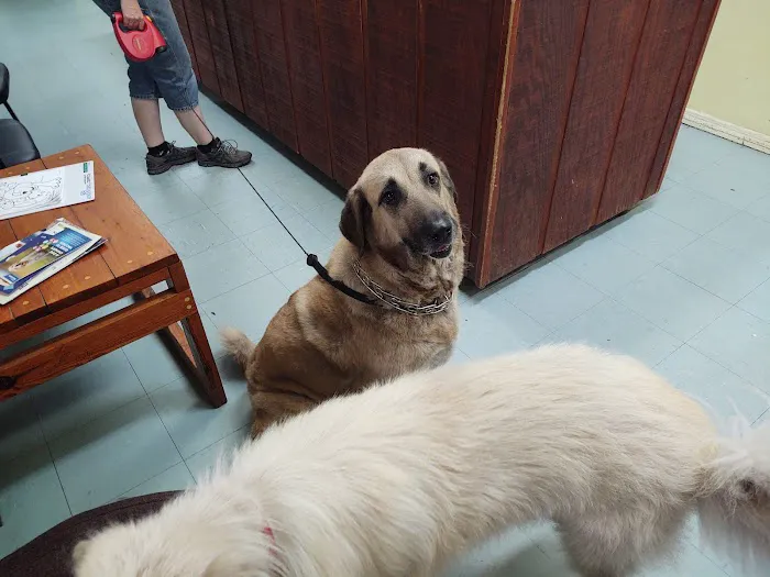 Suwannee Oaks Animal Clinic 12