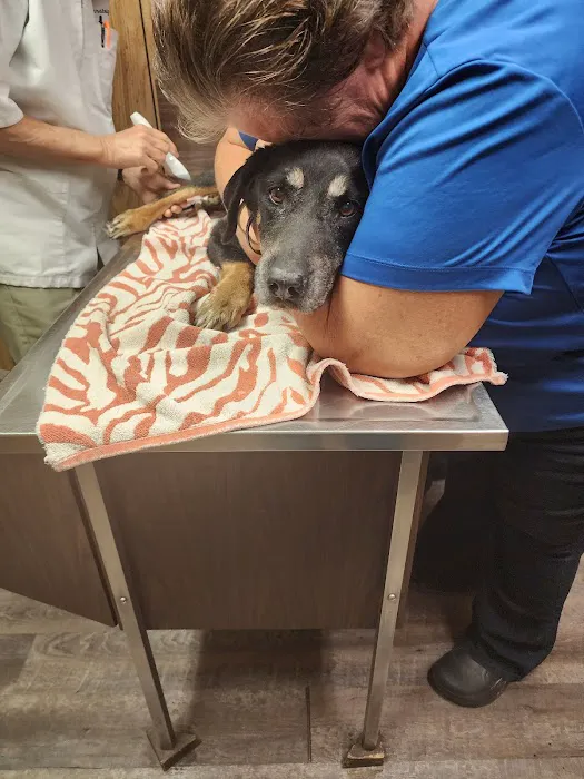 Suwannee Oaks Animal Clinic 12