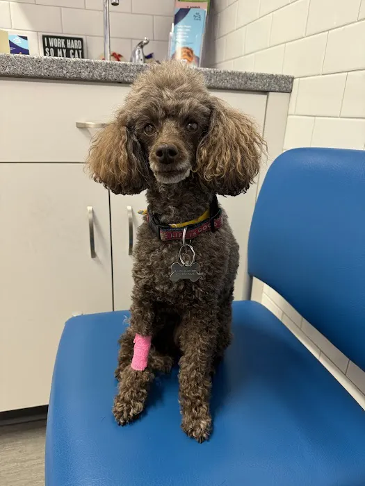 Emergency Veterinary & Specialty Services of Roanoke Inc 3