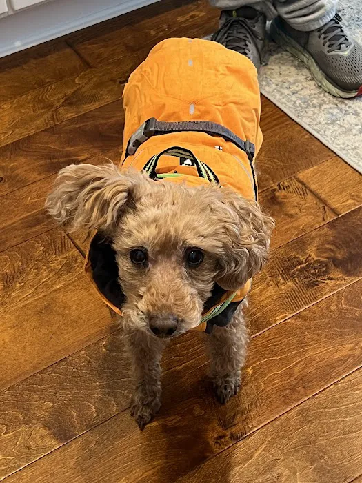Emergency Veterinary & Specialty Services of Roanoke Inc 2
