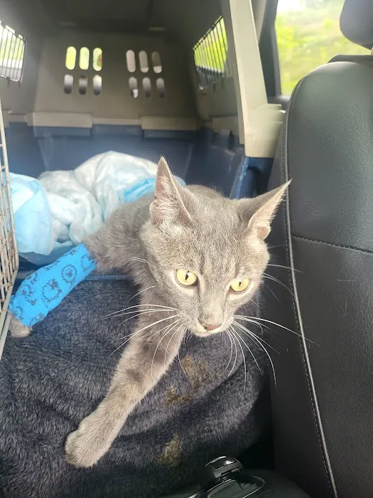 Emergency Veterinary & Specialty Services of Roanoke Inc 9