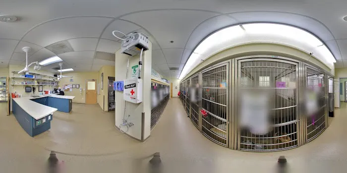Veterinary Specialty Hospital of San Diego 1