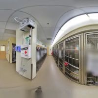 Veterinary Specialty Hospital of San Diego ico
